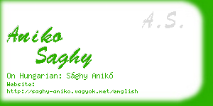 aniko saghy business card